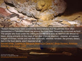 The Great Hall of Bulls, Lascaux
Photo credit : N. Aujoulat © MCC-CNP
http://www.lascaux.culture.fr/index.php?fichier=02_01.xml
“Today’s researchers have consistently demonstrated that the animals most often
represented in Paleolithic caves are among the ones least frequently consumed as food.
The people who lived under the ceiling and in the cave entry at Altamira ate almost no
bison, dining primarily on the meat of red deer (Cervus elaphus). Likewise, at Lascaux
images of horses, bovids and red deer dominate, whereas reindeer, the primary dietary
item in the food debris, aren’t depicted at all.”
Randall White, “Looking for Biilogical Meaning in Cave Art” (Book Review), American
Scientist (July-August 2006)
 