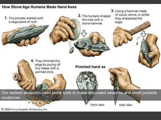 Our earliest ancestors used stone tools to make decorated weapons and small portable
sculptures
 