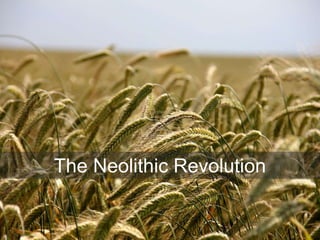 The Neolithic Revolution
 