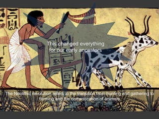 The Neolithic revolution refers to the transition from hunting and gathering to
farming and the domestication of animals
This changed everything
for our early ancestors
 