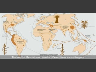 The Neolithic Revolution occurred at different times across the globe
 