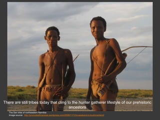 The San tribe of northeastern Namibia
Image source: http://promoteafricanews.wordpress.com/2008/11/12/a-weekend-in-bushmanland/
There are still tribes today that cling to the hunter gatherer lifestyle of our prehistoric
ancestors
 