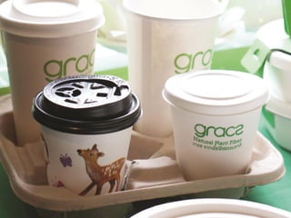 1621 กรกฎาคม 2560
 