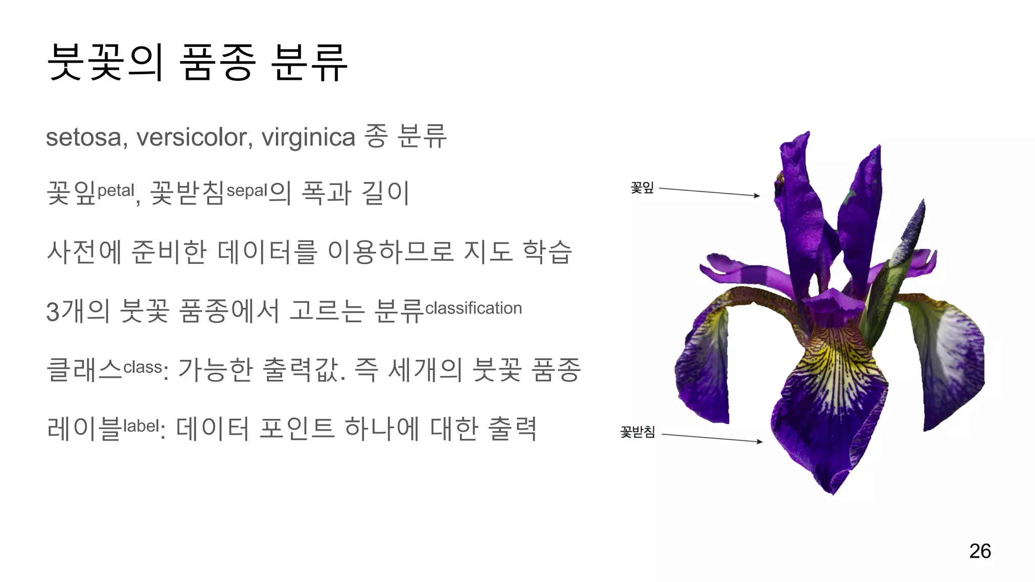 붓꽃의 품종 분류
setosa, versicolor, virginica 종 분류
꽃잎petal, 꽃받침sepal의 폭과 길이
사전에 준비한 데이터를 이용하므로 지도 학습
3개의 붓꽃 품종에서 고르는 분류classification
클래스class: 가능한 출력값. 즉 세개의 붓꽃 품종
레이블label: 데이터 포인트 하나에 대한 출력
26
 