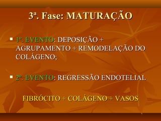 3ª. Fase: MATURAÇÃO3ª. Fase: MATURAÇÃO
 1º. EVENTO1º. EVENTO: DEPOSIÇÃO +: DEPOSIÇÃO +
AGRUPAMENTO + REMODELAÇÃO DOAGRUPAMENTO + REMODELAÇÃO DO
COLÁGENO;COLÁGENO;
 2º. EVENTO2º. EVENTO: REGRESSÃO ENDOTELIAL: REGRESSÃO ENDOTELIAL
FIBRÓCITO + COLÁGENO + VASOSFIBRÓCITO + COLÁGENO + VASOS
 