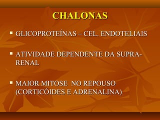 CHALONASCHALONAS
 GLICOPROTEÍNAS – CEL. ENDOTELIAISGLICOPROTEÍNAS – CEL. ENDOTELIAIS
 ATIVIDADE DEPENDENTE DA SUPRA-ATIVIDADE DEPENDENTE DA SUPRA-
RENALRENAL
 MAIOR MITOSE NO REPOUSOMAIOR MITOSE NO REPOUSO
(CORTICÓIDES E ADRENALINA)(CORTICÓIDES E ADRENALINA)
 