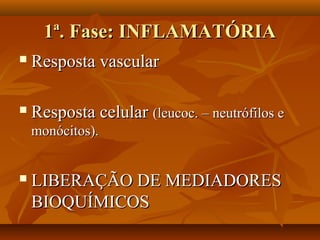 1ª. Fase: INFLAMATÓRIA1ª. Fase: INFLAMATÓRIA
 Resposta vascularResposta vascular
 Resposta celularResposta celular (leucoc. – neutrófilos e(leucoc. – neutrófilos e
monócitos).monócitos).
 LIBERAÇÃO DE MEDIADORESLIBERAÇÃO DE MEDIADORES
BIOQUÍMICOSBIOQUÍMICOS
 