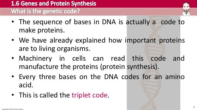 Ap language and composition picture