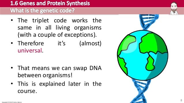cambridge pre u biology 1 6 genes and protein synthesis part 1 samp how protein synthesis works
