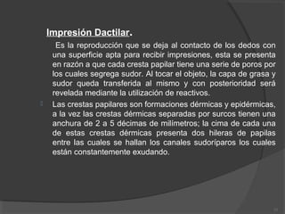Impresión Dactilar.
Es la reproducción que se deja al contacto de los dedos con
una superficie apta para recibir impresiones, esta se presenta
en razón a que cada cresta papilar tiene una serie de poros por
los cuales segrega sudor. Al tocar el objeto, la capa de grasa y
sudor queda transferida al mismo y con posterioridad será
revelada mediante la utilización de reactivos.
 Las crestas papilares son formaciones dérmicas y epidérmicas,
a la vez las crestas dérmicas separadas por surcos tienen una
anchura de 2 a 5 décimas de milímetros; la cima de cada una
de estas crestas dérmicas presenta dos hileras de papilas
entre las cuales se hallan los canales sudoríparos los cuales
están constantemente exudando.
11
 