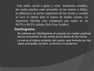 Dactilograma:
 Se entiende por Dactilograma el conjunto de crestas papilares
que se encuentran en las yemas de los dedos de las manos.
 La piel es el órgano protector del cuerpo, esta formado por dos
capas principales, es decir, la dermis y la epidermis.
12
Este sudor, aceite o grasa y otras sustancias extrañas,
las cuales pueden estar presentes en las manos o dedos,
se adhieren a las partes superiores de las crestas y cuando
se toca el objeto deja la marca de dichas crestas. La
impresión Dactilar esta compuesta por sudor en un
98.5% a 99.5% sólidos (Sal-Urea-Ácidos).
 