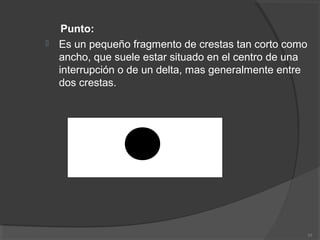 Punto:
 Es un pequeño fragmento de crestas tan corto como
ancho, que suele estar situado en el centro de una
interrupción o de un delta, mas generalmente entre
dos crestas.
20
 