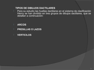 TIPOS DE DIBUJOS DACTILARES
 Para su estudio las huellas dactilares en el sistema de clasificación
Henry se han dividido en tres grupos de dibujos dactilares, que se
detallan a continuación:
 ARCOS
 PRESILLAS O LAZOS
 VERTICILOS
23
 