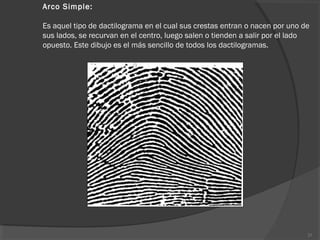 Arco Simple:
Es aquel tipo de dactilograma en el cual sus crestas entran o nacen por uno de
sus lados, se recurvan en el centro, luego salen o tienden a salir por el lado
opuesto. Este dibujo es el más sencillo de todos los dactilogramas.
25
 