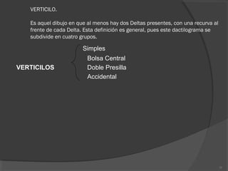 VERTICILO.
Es aquel dibujo en que al menos hay dos Deltas presentes, con una recurva al
frente de cada Delta. Esta definición es general, pues este dactilograma se
subdivide en cuatro grupos.
 
Simples
Bolsa Central
VERTICILOS Doble Presilla
Accidental
31
 