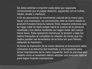  Se debe entintar e imprimir cada dedo por separado
comenzando por el pulgar derecho, siguiendo con el índice,
medio, anular y meñique.
 A fin de aprovechar el movimiento natural de la mano para
hacer una impresión, es conveniente rotar la mano desde la
posición forzada hacia la natural. Esto requiere entonces que
se haga rodar el dedo pulgar hacia el cuerpo de la persona
reseñada y los dedos restantes se hagan rodar del cuerpo
hacia fuera. Esta operación disminuye la tensión y deja los
dedos tranquilos al completar la rotación de modo que los
dedos pueden ser levantados de la ficha sin que Patinen,
dañando la impresión.
 Al tomar la impresión de la mano derecha el funcionario debe
colocarse a la derecha del reseñado y a la izquierda para
tomar impresiones de la mano izquierda, tanto la persona que
reseña como el reseñado deben adoptar una posición natural
para lograr buenas impresiones.
44
 