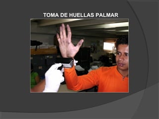 TOMA DE HUELLAS PALMAR
 