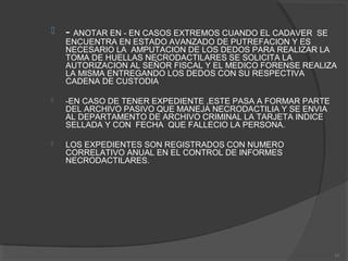  - ANOTAR EN - EN CASOS EXTREMOS CUANDO EL CADAVER SE
ENCUENTRA EN ESTADO AVANZADO DE PUTREFACION Y ES
NECESARIO LA AMPUTACION DE LOS DEDOS PARA REALIZAR LA
TOMA DE HUELLAS NECRODACTILARES SE SOLICITA LA
AUTORIZACION AL SEÑOR FISCAL Y EL MEDICO FORENSE REALIZA
LA MISMA ENTREGANDO LOS DEDOS CON SU RESPECTIVA
CADENA DE CUSTODIA
 -EN CASO DE TENER EXPEDIENTE ,ESTE PASA A FORMAR PARTE
DEL ARCHIVO PASIVO QUE MANEJA NECRODACTILIA Y SE ENVIA
AL DEPARTAMENTO DE ARCHIVO CRIMINAL LA TARJETA INDICE
SELLADA Y CON FECHA QUE FALLECIO LA PERSONA.
 LOS EXPEDIENTES SON REGISTRADOS CON NUMERO
CORRELATIVO ANUAL EN EL CONTROL DE INFORMES
NECRODACTILARES.
55
 