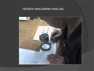 TECNICO ANALIZANDO HUELLAS
 