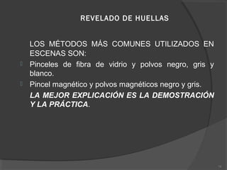 REVELADO DE HUELLAS
LOS MÉTODOS MÁS COMUNES UTILIZADOS EN
ESCENAS SON:
 Pinceles de fibra de vidrio y polvos negro, gris y
blanco.
 Pincel magnético y polvos magnéticos negro y gris.
LA MEJOR EXPLICACIÓN ES LA DEMOSTRACIÓN
Y LA PRÁCTICA.
74
 