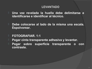 LEVANTADO
 Una vez revelada la huella debe delimitarse e
identificarse e identificar al técnico.
 Debe colocarse al lado de la misma una escala.
Espolvorear.
 FOTOGRAFIAR. 1:1
 Pegar cinta transparente adhesiva y levantar.
 Pegar sobre superficie transparente o con
contraste.
75
 
