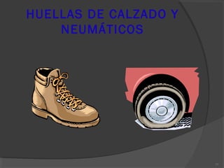 HUELLAS DE CALZADO Y
NEUMÁTICOS
77
 