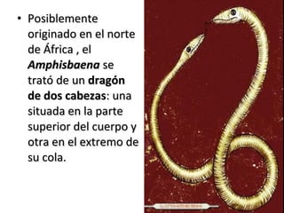 • PosiblementePosiblemente
originado en el norteoriginado en el norte
de África , elde África , el
AmphisbaenaAmphisbaena sese
trató de untrató de un dragóndragón
de dos cabezasde dos cabezas: una: una
situada en la partesituada en la parte
superior del cuerpo ysuperior del cuerpo y
otra en el extremo deotra en el extremo de
su cola.su cola.
 