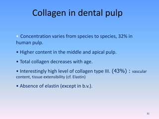 Collagen in dental pulp
• Concentration varies from species to species, 32% in
human pulp.
• Higher content in the middle and apical pulp.
• Total collagen decreases with age.
• Interestingly high level of collagen type III. (43%) : vascular
content, tissue extensibility (cf. Elastin)
• Absence of elastin (except in b.v.).
31
 