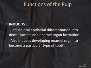 Functions of the Pulp
• INDUCTIVE:
-Induce oral epithelial differentiation into
dental lamina and enamel organ formation.
-Also induces developing enamel organ to
become a particular type of tooth.
33
©AJ Design
 