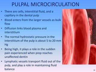 PULPAL MICROCIRCULATION
• There are cells, interstitial fluid, and a
capillary in the dental pulp
• Blood enters from the larger vessels as bulk
flow
• Diffusion links blood plasma and
interstitium
• The normal hydrostatic pressure in the
interstitium of the pulp is about 5 to 20 mm
Hg
• Being high, it plays a role in the sudden
pain experienced when prep reaches
unaffected dentin
• Lymphatic vessels transport fluid out of the
pulp, and play a role in maintaining fluid
balance 38
 