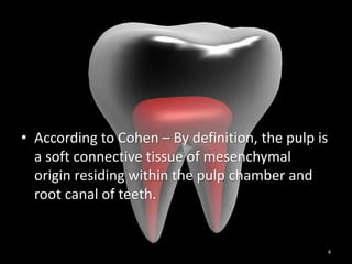 • According to Cohen – By definition, the pulp is
a soft connective tissue of mesenchymal
origin residing within the pulp chamber and
root canal of teeth.
4
 