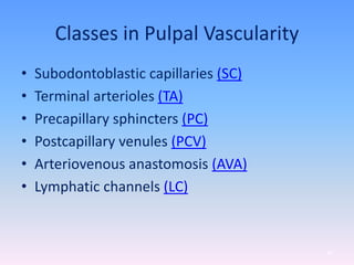 Classes in Pulpal Vascularity
• Subodontoblastic capillaries (SC)
• Terminal arterioles (TA)
• Precapillary sphincters (PC)
• Postcapillary venules (PCV)
• Arteriovenous anastomosis (AVA)
• Lymphatic channels (LC)
42
 