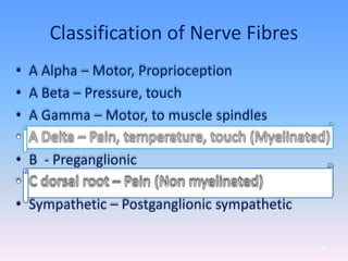 Classification of Nerve Fibres
• A Alpha – Motor, Proprioception
• A Beta – Pressure, touch
• A Gamma – Motor, to muscle spindles
• B - Preganglionic
• Sympathetic – Postganglionic sympathetic
47
 