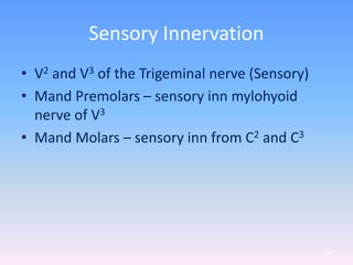 Sensory Innervation
• V2 and V3 of the Trigeminal nerve (Sensory)
• Mand Premolars – sensory inn mylohyoid
nerve of V3
• Mand Molars – sensory inn from C2 and C3
49
 