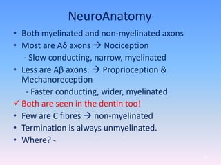 NeuroAnatomy
• Both myelinated and non-myelinated axons
• Most are Aδ axons  Nociception
- Slow conducting, narrow, myelinated
• Less are Aβ axons.  Proprioception &
Mechanoreception
- Faster conducting, wider, myelinated
Both are seen in the dentin too!
• Few are C fibres  non-myelinated
• Termination is always unmyelinated.
• Where? -
50
 