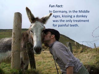 Fun Fact:
In Germany, in the Middle
Ages, kissing a donkey
was the only treatment
for painful teeth.
57
 