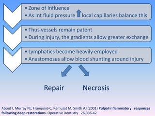 • Zone of Influence
• As Int fluid pressure local capillaries balance this
• Thus vessels remain patent
• During Injury, the gradients allow greater exchange
• Lymphatics become heavily employed
• Anastomoses allow blood shunting around injury
60
Repair Necrosis
About I, Murray PE, FranquinJ-C, Remusat M, Smith AJ (2001) Pulpal inflammatory responses
following deep restorations. Operative Dentistry 26,336-42
 