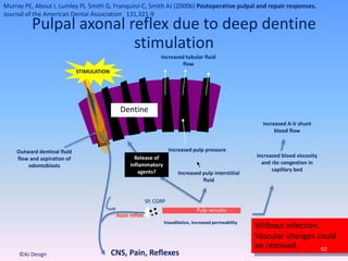 Pulp venules
STIMULATION
Increased pulp interstitial
fluid
Increased pulp pressure
Increased tubular fluid
flow
Release of
inflammatory
agents?
Increased blood viscosity
and rbc congestion in
capillary bed
Increased A-V shunt
blood flow
Outward dentinal fluid
flow and aspiration of
odontoblasts
CNS, Pain, Reflexes
Vasodilation, Increased permeability
Pulpal axonal reflex due to deep dentine
stimulation
Without infection,
Vascular changes could
be resolved.
Axon reflex
SP, CGRP
Dentine
62
©AJ Design
Murray PE, About I, Lumley PJ, Smith G, FranquinJ-C, Smith AJ (2000b) Postoperative pulpal and repair responses.
Journal of the American Dental Association 131,321-9
 