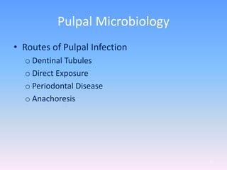 Pulpal Microbiology
• Routes of Pulpal Infection
o Dentinal Tubules
o Direct Exposure
o Periodontal Disease
o Anachoresis
72
 