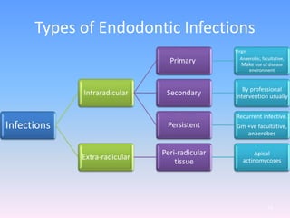 Infections
Intraradicular
Primary
Virgin
Anaerobic, facultative,
Make use of disease
environment
Secondary By professional
intervention usually
Persistent
Recurrent infective.
Gm +ve facultative,
anaerobes
Extra-radicular
Peri-radicular
tissue
Apical
actinomycoses
Types of Endodontic Infections
73
 