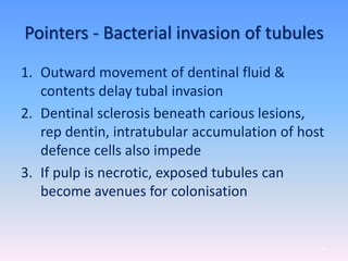 Pointers - Bacterial invasion of tubules
1. Outward movement of dentinal fluid &
contents delay tubal invasion
2. Dentinal sclerosis beneath carious lesions,
rep dentin, intratubular accumulation of host
defence cells also impede
3. If pulp is necrotic, exposed tubules can
become avenues for colonisation
75
 