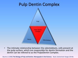 Pulp Dentin Complex
• The intimate relationship between the odontoblasts, cells present at
the pulp surface, which are responsible for dentin formation and the
dentin can be refered to as the PulpoDentin Complex.
8
Baume LJ (1980) The Biology of Pulp and Dentine. Monographs in Oral Science. Basel, Switzerland: Karger,159-82.
 