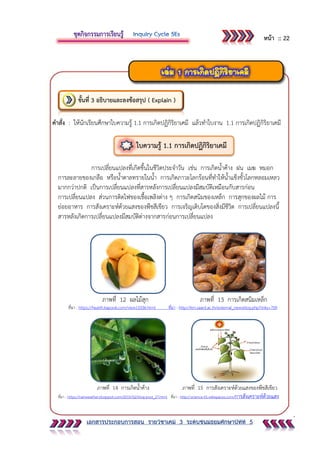 เอกสารประกอบการสอน รายวิชาเคมี 3 ระดับชั้นมัธยมศึกษาปีทีที่ 5
คาสั่ง : ให้นักเรียนศึกษาใบความรู้ 1.1 การเกิดปฏิกิริยาเคมี แล้วทาใบงาน 1.1 การเกิดปฏิกิริยาเคมี
การเปลี่ยนแปลงที่เกิดขึ้นในชีวิตประจาวัน เช่น การเกิดน้าค้าง ฝน เมฆ หมอก
การละลายของเกลือ หรือน้าตาลทรายในน้า การเกิดภาวะโลกร้อนที่ทาให้น้าแข็งขั้วโลกหลอมเหลว
มากกว่าปกติ เป็นการเปลี่ยนแปลงที่สารหลังการเปลี่ยนแปลงมีสมบัติเหมือนกับสารก่อน
การเปลี่ยนแปลง ส่วนการติดไฟของเชื้อเพลิงต่าง ๆ การเกิดสนิมของเหล็ก การสุกของผลไม้ การ
ย่อยอาหาร การสังเคราะห์ด้วยแสงของพืชสีเขียว การเจริญเติบโตของสิ่งมีชีวิต การเปลี่ยนแปลงนี้
สารหลังเกิดการเปลี่ยนแปลงมีสมบัติต่างจากสารก่อนการเปลี่ยนแปลง
ภาพที่ 12 ผลไม้สุก ภาพที่ 13 การเกิดสนิมเหล็ก
ที่มา : https://health.kapook.com/view13336.html ที่มา : http://km.saard.ac.th/external_newsblog.php?links=709
ภาพที่ 14 การเกิดน้าค้าง ภาพที่ 15 การสังเคราะห์ด้วยแสงของพืชสีเขียว
ที่มา : https://rainweather.blogspot.com/2015/02/blog-post_27.html ที่มา : http://science-01.wikispaces.com/การสังเคราะห์ด้วยแสง
ขั้นที่ 3 อธิบายและลงข้อสรุป ( Explain )
ใบความรู้ 1.1 การเกิดปฏิกิริยาเคมี
หน้า :: 22
 