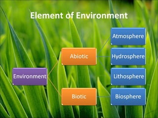 Element of Environment
 