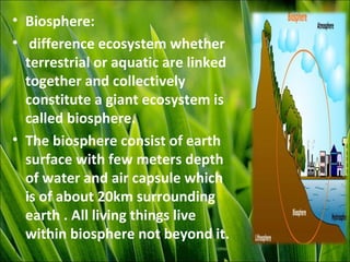 • Biosphere:
• difference ecosystem whether
terrestrial or aquatic are linked
together and collectively
constitute a giant ecosystem is
called biosphere.
• The biosphere consist of earth
surface with few meters depth
of water and air capsule which
is of about 20km surrounding
earth . All living things live
within biosphere not beyond it.
 