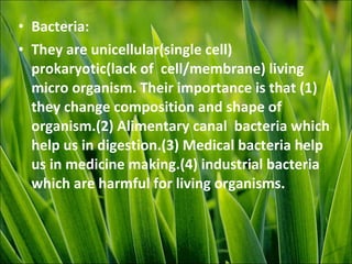 • Bacteria:
• They are unicellular(single cell)
prokaryotic(lack of cell/membrane) living
micro organism. Their importance is that (1)
they change composition and shape of
organism.(2) Alimentary canal bacteria which
help us in digestion.(3) Medical bacteria help
us in medicine making.(4) industrial bacteria
which are harmful for living organisms.
 