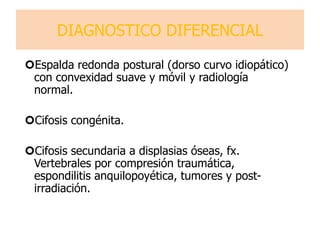 DIAGNOSTICO DIFERENCIAL
Espalda redonda postural (dorso curvo idiopático)
con convexidad suave y móvil y radiología
normal.
Cifosis congénita.
Cifosis secundaria a displasias óseas, fx.
Vertebrales por compresión traumática,
espondilitis anquilopoyética, tumores y post-
irradiación.
 