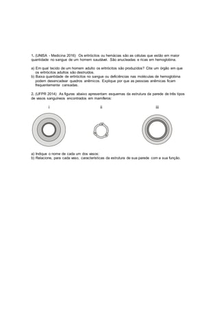 Resumo de Divisão Celular: Mitose e Meiose - Sanar Medicina