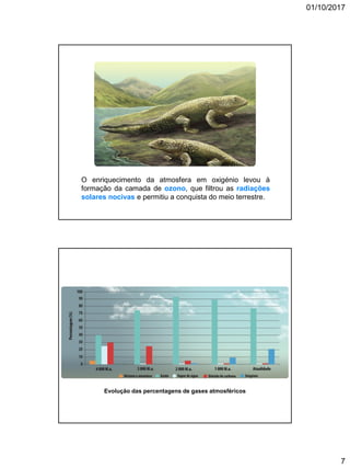01/10/2017
7
O enriquecimento da atmosfera em oxigénio levou à
formação da camada de ozono, que filtrou as radiações
solares nocivas e permitiu a conquista do meio terrestre.
Evolução das percentagens de gases atmosféricos
 