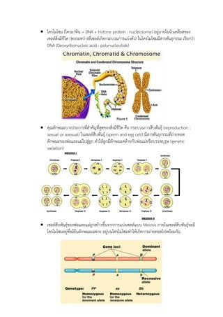  โครโมโซม (โครมาทิน = DNA + histone protein : nucleosome) อยู่ภายในนิวเคลียสของ
เซลล์สิ่งมีชีวิต (พบระหว่างที่เซลล์เกิดกระบวนการแบ่งตัว) ในโครโมโซมมีสารพันธุกรรม เรียกว่า
DNA (Deoxyribonucleic acid : polynucleotide)
 คุณลักษณะบางประการที่สาคัญที่สุดของสิ่งมีชีวิต คือ กระบวนการสืบพันธุ์ (reproduction :
sexual or asexual) ในเซลล์สืบพันธุ์ (sperm and egg cell) มีสารพันธุกรรมที่ถ่ายทอด
ลักษณะของพ่อและแม่ไปสู่ลูก ทาให้ลูกมีลักษณะคล้ายกับพ่อแม่หรือบรรพบุรุษ (genetic
variation)
 เซลล์สืบพันธุ์ของพ่อและแม่ถูกสร้างขึ้นจากการแบ่งเซลล์แบบ Meiosis ภายในเซลล์สืบพันธุ์จะมี
โครโมโซมอยู่ซึ่งมียีนลักษณะเฉพาะ อยู่บนโครโมโซมทาให้เกิดการถ่ายทอดไปพร้อมกัน
 